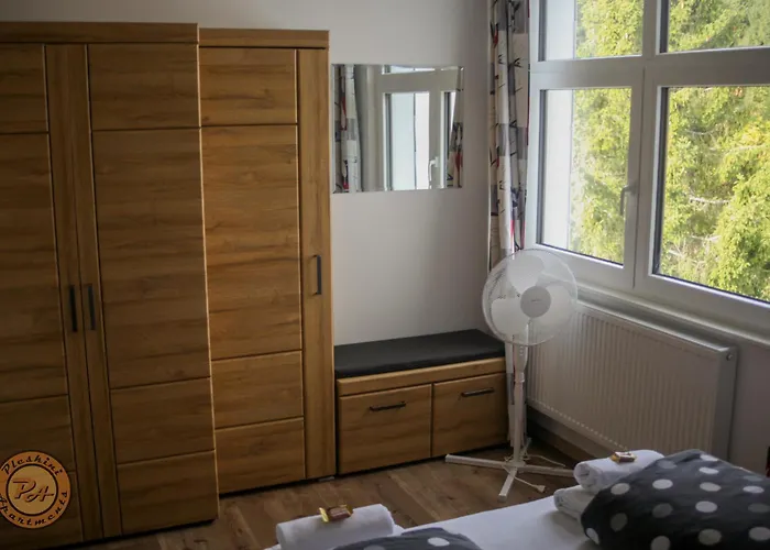 Pleskini Apartment Sankt Englmar